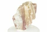 Pink Tourmaline (Rubellite) in Quartz - Brazil #257912-1